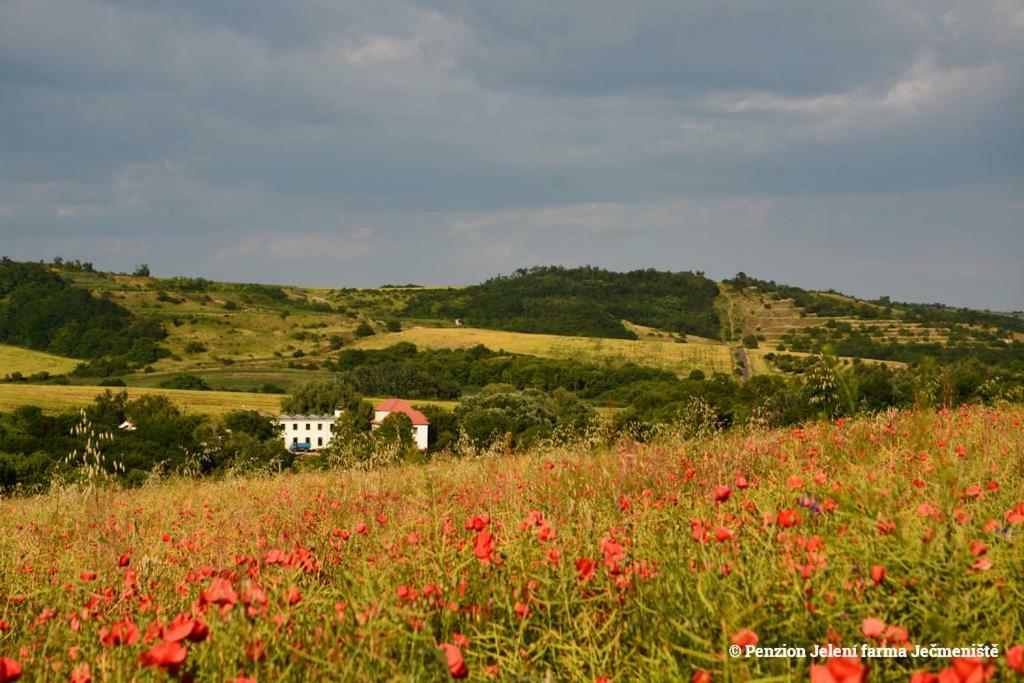 Jeleni Farma Jecmeniste Hotel Vrbovec Buitenkant foto
